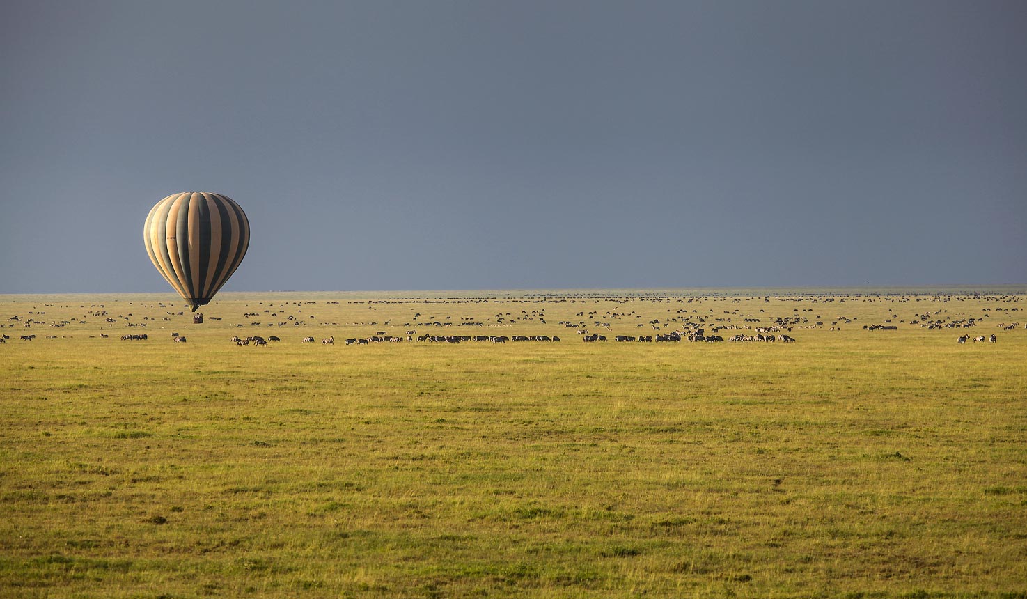 serengeti-southwest-tanzania